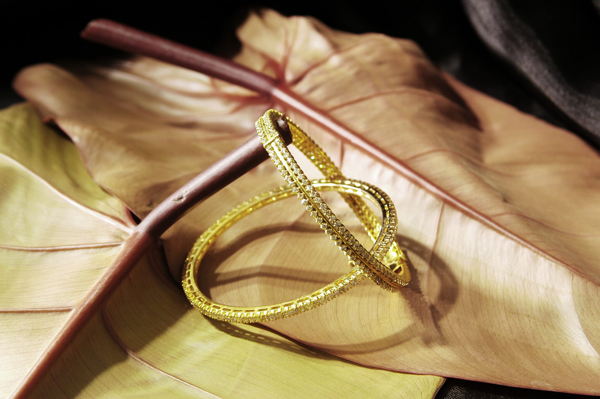 products_bishwajit photography