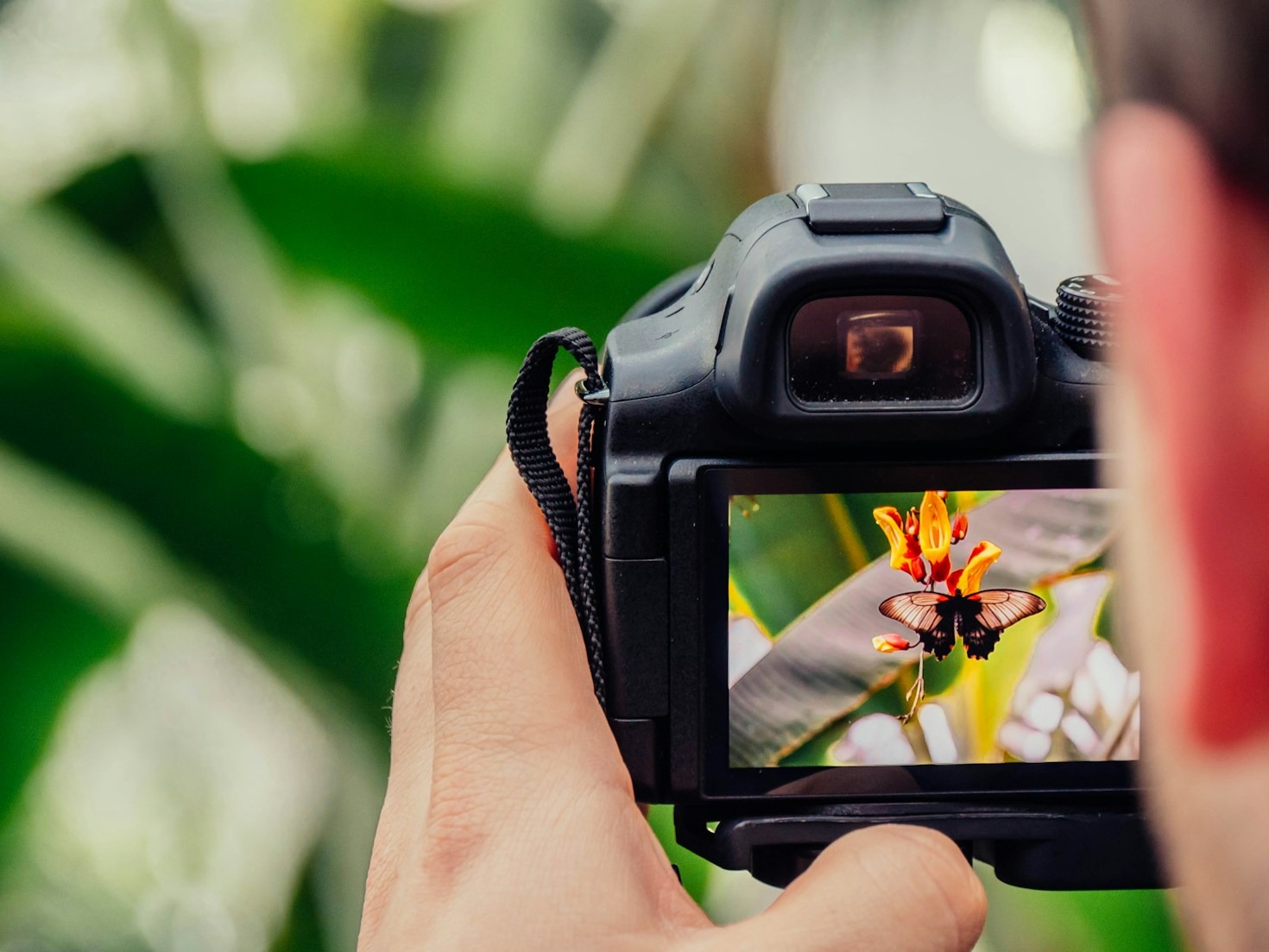 The Art of Storytelling Through Photography