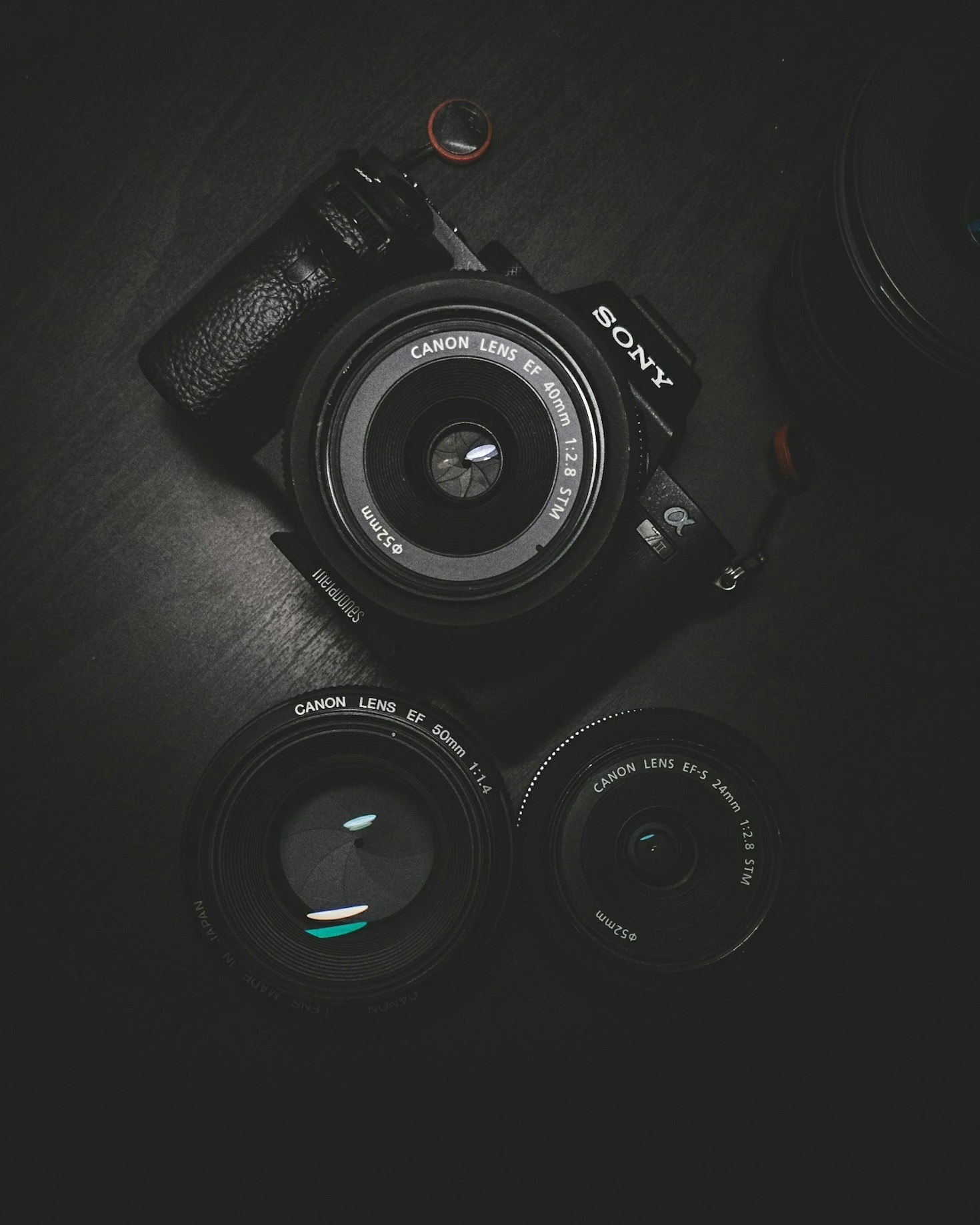 Tips for Stunning Portrait Photography