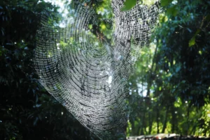 Lifestyle Photography in Dhaka taken by Bishwajit Sarker