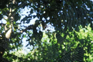 Lifestyle Photography in Dhaka taken by Bishwajit Sarker