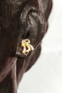 Jewelry Photography in Dhaka taken by Bishwajit Sarker