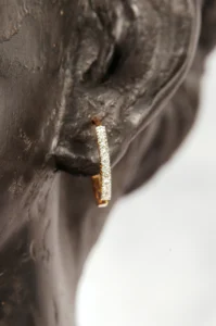 Jewelry Photography in Dhaka taken by Bishwajit Sarker