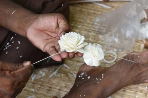 rural life-bishwajit photography-magura