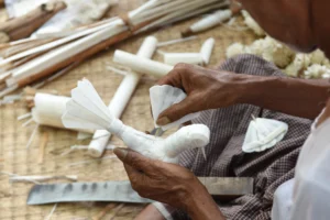 rural life-bishwajit photography-magura