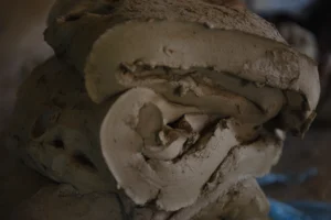 bijoypur-rural life- bishwajit photography