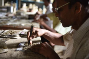 bijoypur-rural life- bishwajit photography