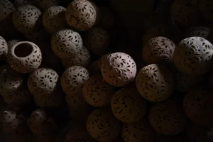 kartikpur-rural life-bishwajit photography