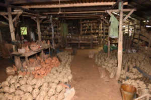 kartikpur-rural life-bishwajit photography