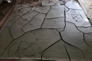 kartikpur-rural life-bishwajit photography