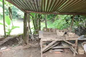 kartikpur-rural life-bishwajit photography