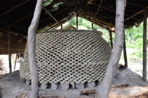 kartikpur-rural life-bishwajit photography