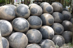 kartikpur-rural life-bishwajit photography