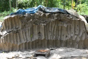 kartikpur-rural life-bishwajit photography