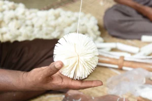 rural life-bishwajit photography-magura