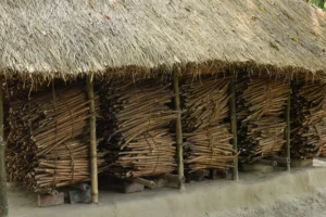 rural life-bishwajit photography-magura