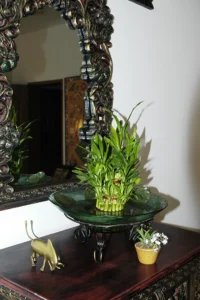 interior design photography in dhaka -bishwajit photography