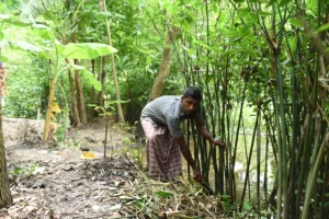 Best Rural Life Photography in Dhaka Bishwajit Photography (10)