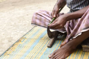 Best Rural Life Photography in Dhaka Bishwajit Photography (14)