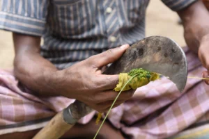 Best Rural Life Photography in Dhaka Bishwajit Photography (2)