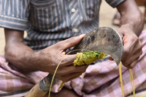 Best Rural Life Photography in Dhaka Bishwajit Photography (3)