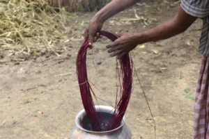 Best Rural Life Photography in Dhaka Bishwajit Photography (9)