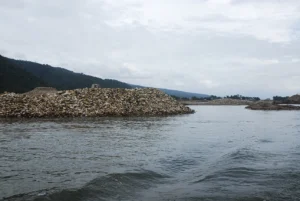 Travelling Photography in Bangladesh Bishwajit Photography (1)