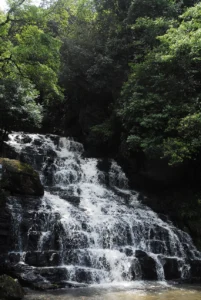 Travelling Photography in Bangladesh Bishwajit Photography (22)