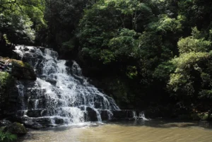 Travelling Photography in Bangladesh Bishwajit Photography (25)