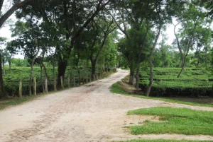 Travelling Photography in Bangladesh Bishwajit Photography (43)