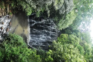Travelling Photography in Bangladesh Bishwajit Photography (5)
