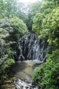 Travelling Photography in Bangladesh Bishwajit Photography (5)