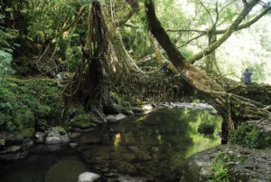 Travelling Photography in Bangladesh Bishwajit Photography (59)