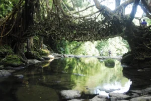 Travelling Photography in Bangladesh Bishwajit Photography (60)