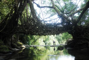 Travelling Photography in Bangladesh Bishwajit Photography (62)