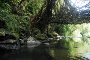 Travelling Photography in Bangladesh Bishwajit Photography (64)