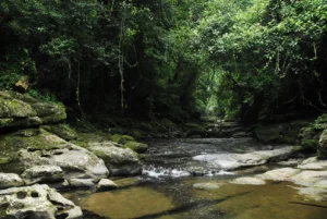 Travelling Photography in Bangladesh Bishwajit Photography (66)