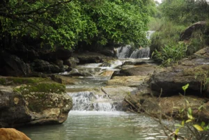 Travelling Photography in Bangladesh Bishwajit Photography (81)