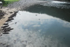 Travelling Photography in Bangladesh Bishwajit Photography (9)