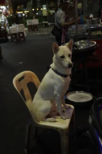 Travelling Photography in Bangladesh Bishwajit Photography (93)