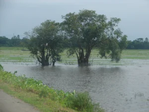 Travelling Photography in Bangladesh Bishwajit Photography (98)