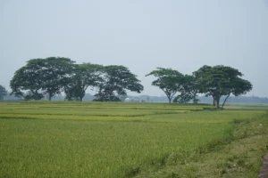 Travelling Photography in Bangladesh Bishwajit Photography Best photographer in Dhaka (29)