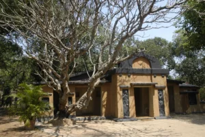 Travelling Photography in Bangladesh Bishwajit Photography Best photographer in Dhaka (51)