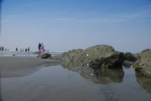 Travelling Photography in Bangladesh Bishwajit Photography Best photographer in Dhaka (54)