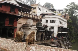 Travelling Photography in Bangladesh Bishwajit Photography Best photographer in Dhaka (56)