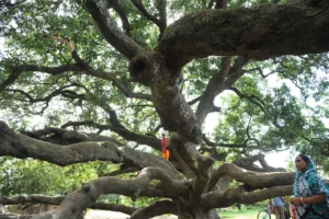 Travelling Photography in Bangladesh Bishwajit Photography Best photographer in Dhaka (85)