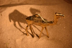 products photography in dhaka best interior photography in bangladesh bishwajit sarker bishwajit photography (47)