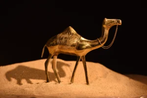 products photography in dhaka best interior photography in bangladesh bishwajit sarker bishwajit photography (48)