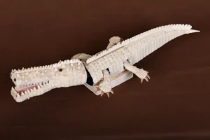 products photography in dhaka best interior photography in bangladesh bishwajit sarker bishwajit photography (64)