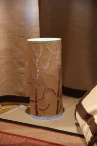 products photography in dhaka best interior photography in bangladesh bishwajit sarker bishwajit photography (77)